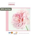 Zorgboek dwang / Zorgboek 9789086483716, Verzenden, Gelezen