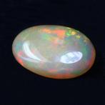 1 pcs Geel, Groen, Rood Opaal - 21.14 ct - nternational, Nieuw
