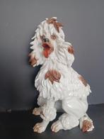 Algora - Figuur - Perro caniche sentado - porselein