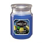Candle-Lite - Salty Blue Citron - plantaardige geurkaars, Verzenden, Nieuw