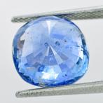 1 pcs Blauw Saffier - 8.74 ct - International Gemological, Sieraden, Tassen en Uiterlijk, Edelstenen, Nieuw