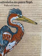Conrad Gesner - Vogelbuch - 1598, Antiek en Kunst