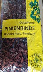 Tuinplanten Fruitbomen  Meerstammig Hortensia Rhododendron, Zomer, Vaste plant, Overige soorten, Halfschaduw