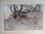 William Shakespeare / Arthur Rackham - A midsummernights