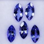 5 pcs Blauw Tanzaniet - 3.16 ct - Instituto Gemólogico, Sieraden, Tassen en Uiterlijk, Edelstenen, Nieuw