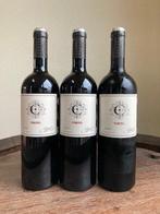 2020 Copel Wines. Pomerol - Bordeaux - 3 Flessen (0.75, Nieuw