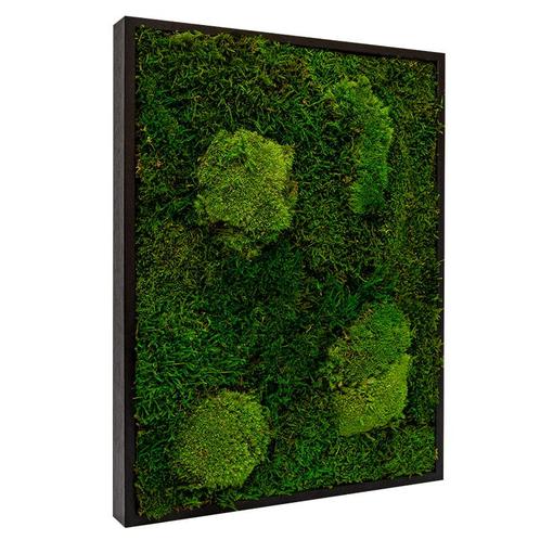 Vintlux Mosschilderij Lappenmos-Bolmos Zwart - Viborg, Huis en Inrichting, Woonaccessoires | Wanddecoraties
