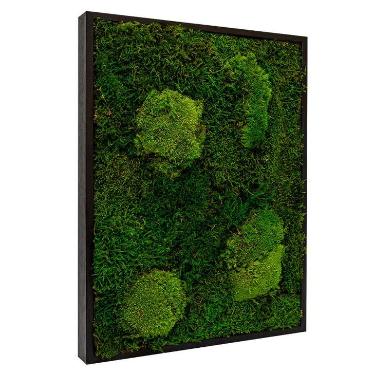 Vintlux Mosschilderij Lappenmos-Bolmos Zwart - Viborg, Huis en Inrichting, Woonaccessoires | Wanddecoraties
