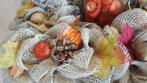 Actie voordeelzak oranjerode pompoentjes op dr zak +/-24 van, Ophalen of Verzenden, Nieuw