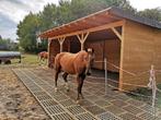 Paddockplaten van Modderplaatshop vanaf 21,45 exclusief btw, Dieren en Toebehoren, Paarden
