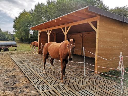 Paddockplaten van Modderplaatshop 26,03 exclusief btw per m2, Dieren en Toebehoren, Paarden