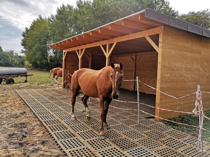 Modderplaten / Paddockplaatshop vanaf 21,45 exclusief btw, Dieren en Toebehoren, Paarden