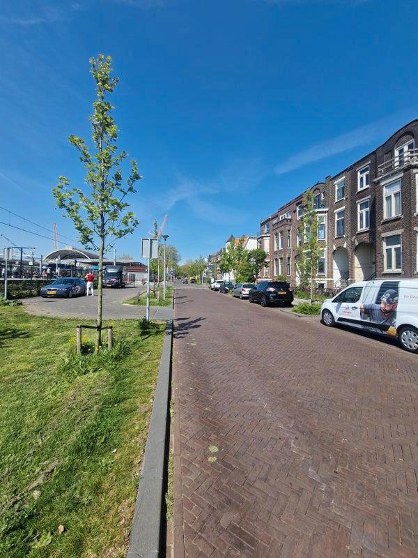 Leuke huurwoning Te huur: Oosterlaan in Zwolle, Huizen en Kamers, Huizen te huur, Direct bij eigenaar, Overijssel, Tussenwoning