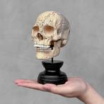 Snijwerk, NO RESERVE PRICE - Stunning Wooden Human Skull