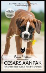 Cesars aanpak 9789044351064 Melissa Jo Peltier, Verzenden, Gelezen, Melissa Jo Peltier