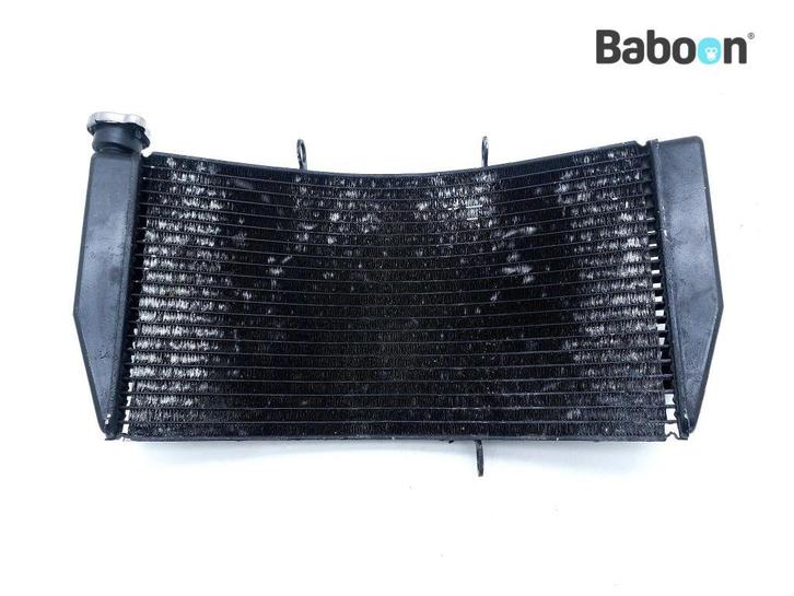 Radiateur Honda CBR 900 RR Fireblade 2002-2003 (CBR900RR, Motoren, Onderdelen | Honda, Gebruikt, Verzenden