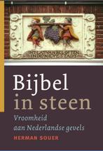 BIJBEL IN STEEN 9789089120083 H. Souer, Boeken, Verzenden, Zo goed als nieuw, H. Souer