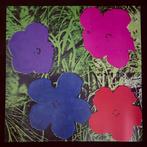 Andy Warhol - Flowers, c.1964 (purple, blue, pink, red) -