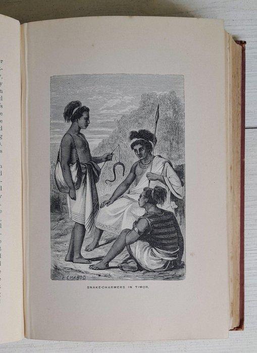 W.H. Davenport Adams - The Eastern Archipelago - 1880, Antiek en Kunst, Antiek | Boeken en Bijbels