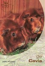 De Cavia / Basisgids dierenverzorging 9789058410689, Verzenden, Gelezen, N. de Wit