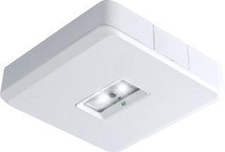 Van Lien Evago Noodverlichtingsarmatuur - 7TCA091160R0375, Tuin en Terras, Buitenverlichting, Overige typen, Nieuw, Verzenden