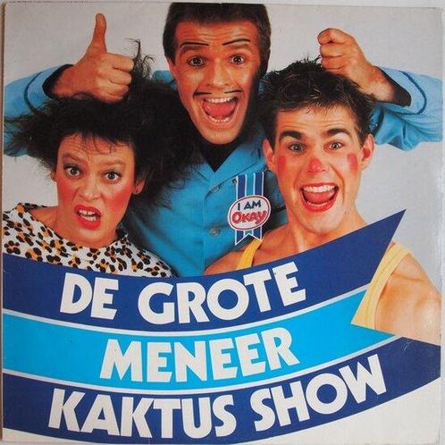 Meneer Kaktus (Peter Jan Rens) - De grote meneer kaktus..., Cd's en Dvd's, Vinyl | Pop, Gebruikt, 12 inch