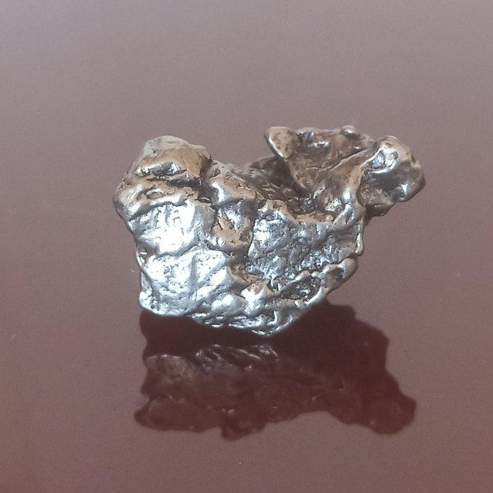 Meteoriet Campo del Cielo. Voorbeeld zonder reserveprijs. -, Verzamelen, Mineralen en Fossielen