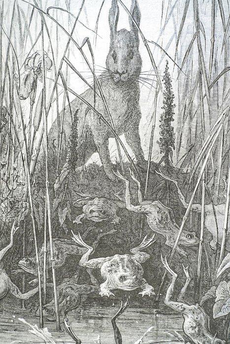 Jean de La Fontaine / Gustave Doré - Fables de La Fontaine -, Antiek en Kunst, Antiek | Boeken en Bijbels