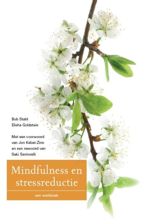 Mindfulness en stressreductie 9789057123184 Bob Stahl, Boeken, Psychologie, Zo goed als nieuw, Verzenden