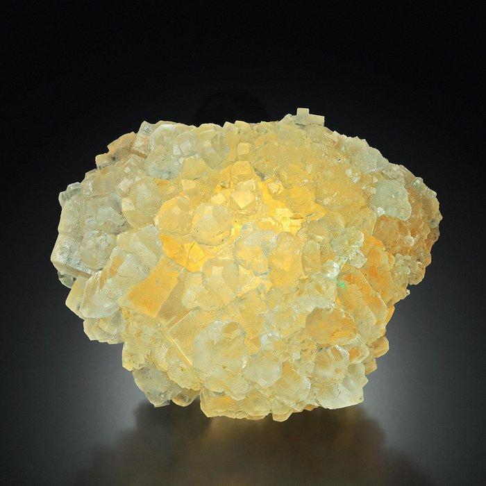 Fantastische oude vondst van octaëder SYLVITE met HALITE uit, Verzamelen, Mineralen en Fossielen