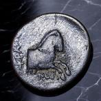 Ionia, Colophon. 330-285 BC Sokrates, magistrate. (Zonder