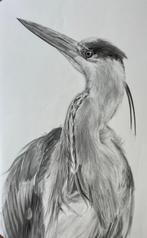Jason Prins - Blue Heron