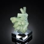 Zeldzaam! BERYL var. GOSHENITE - AQUAMARINE uit Erongo