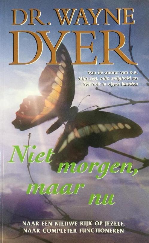 Niet morgen, maar nu 9789022983782 W.W. Dyer, Boeken, Psychologie, Gelezen, Verzenden