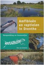 Amfibieen En Reptielen In Drenthe 9789052944845, Boeken, Kinderboeken | Jeugd | 13 jaar en ouder, Gelezen, Edo van Uchelen, Verzenden