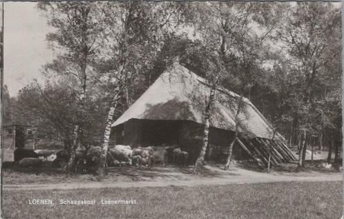 LOENEN - Schaapskooi Loenermarkt, Verzamelen, Ansichtkaarten | Nederland, Verzenden