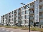 Studio Nassaulaan in Maastricht, Overige soorten, Limburg