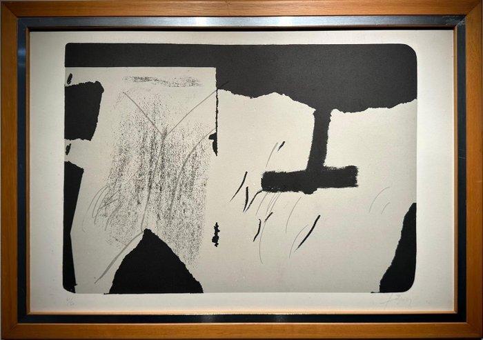Antoni Tapies (1923-2012) - Untitled, Verzamelen, Mineralen en Fossielen