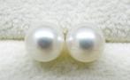 Zonder Minimumprijs - Akoya Pearls, Round, 7.5 -8 mm -