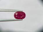 Zonder minimumprijs - 1 pcs Rood Robijn - 2.63 ct -, Nieuw