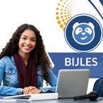 Wiskunde B bijlessen – Haarlem, Privéles, Bijles