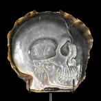 Intricately carved parelmoer schelp - menselijk, Antiek en Kunst