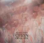 lp nieuw - Agnes Obel - Citizen Of Glass, Zo goed als nieuw, Verzenden