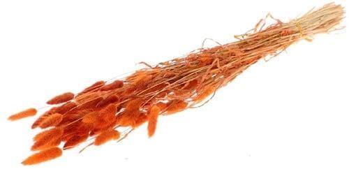 Lagurus ovatus pluimgras graspluimen in hoes peach oranje 60, Huis en Inrichting, Woonaccessoires | Kunstplanten en Kunstbloemen