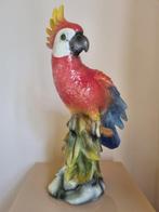 Ara papegaai - anders - Beeld, Ara papegaai - 47 cm -