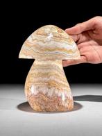 Geen minimumprijs - Prachtige met de hand gesneden Lace