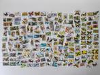 Wereld - 150 stuks - Dinosauriërs en prehistorische dieren,, Gestempeld