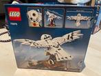 Lego Set - 75979 - Harry Potter - Hedwig, Nieuw