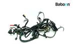 Kabelboom BMW F 800 R 2009-2014 (F800R) (7701246), Motoren, Onderdelen | BMW, Verzenden, Gebruikt