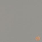 Kurk Klikvloer Linoleum - Core Alloy - per m2, Ophalen of Verzenden, Nieuw